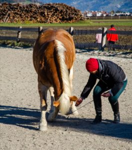 Vertrauen statt Angst bei der Bodenarbeit