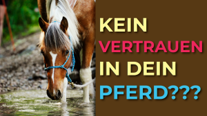 Was tun, wenn du Angst hast, die Kontrolle zu verlieren – und dein Pferd es merkt?